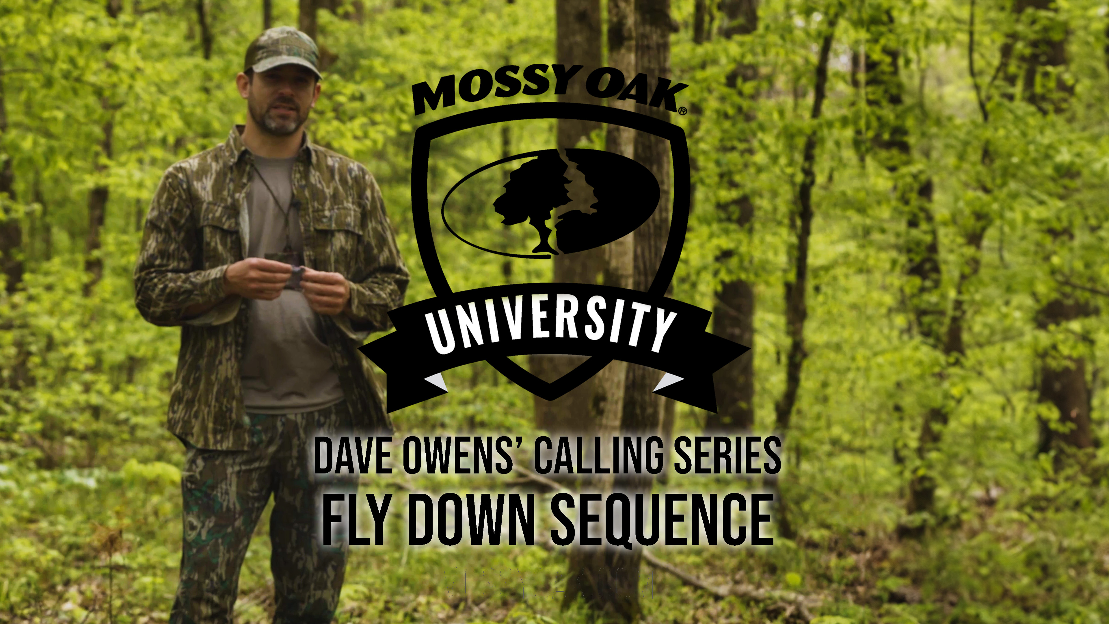 Dave Owens’ Turkey Calling Tips FLYDOWN SEQUENCE