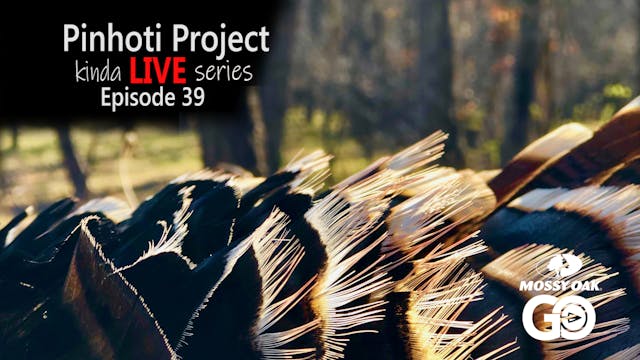 Kinda Live • Episode 39 • Pinhoti Pro...