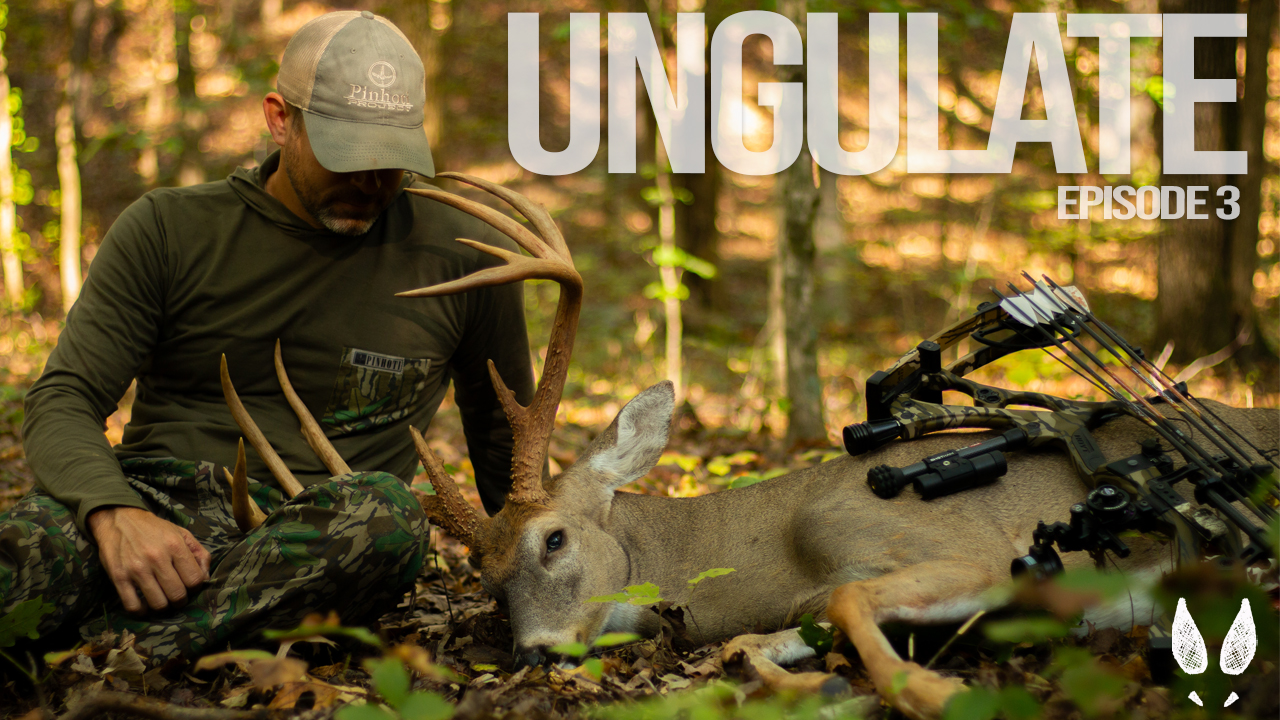Ungulate Edition 2025 Ep3 • Pinhoti Project