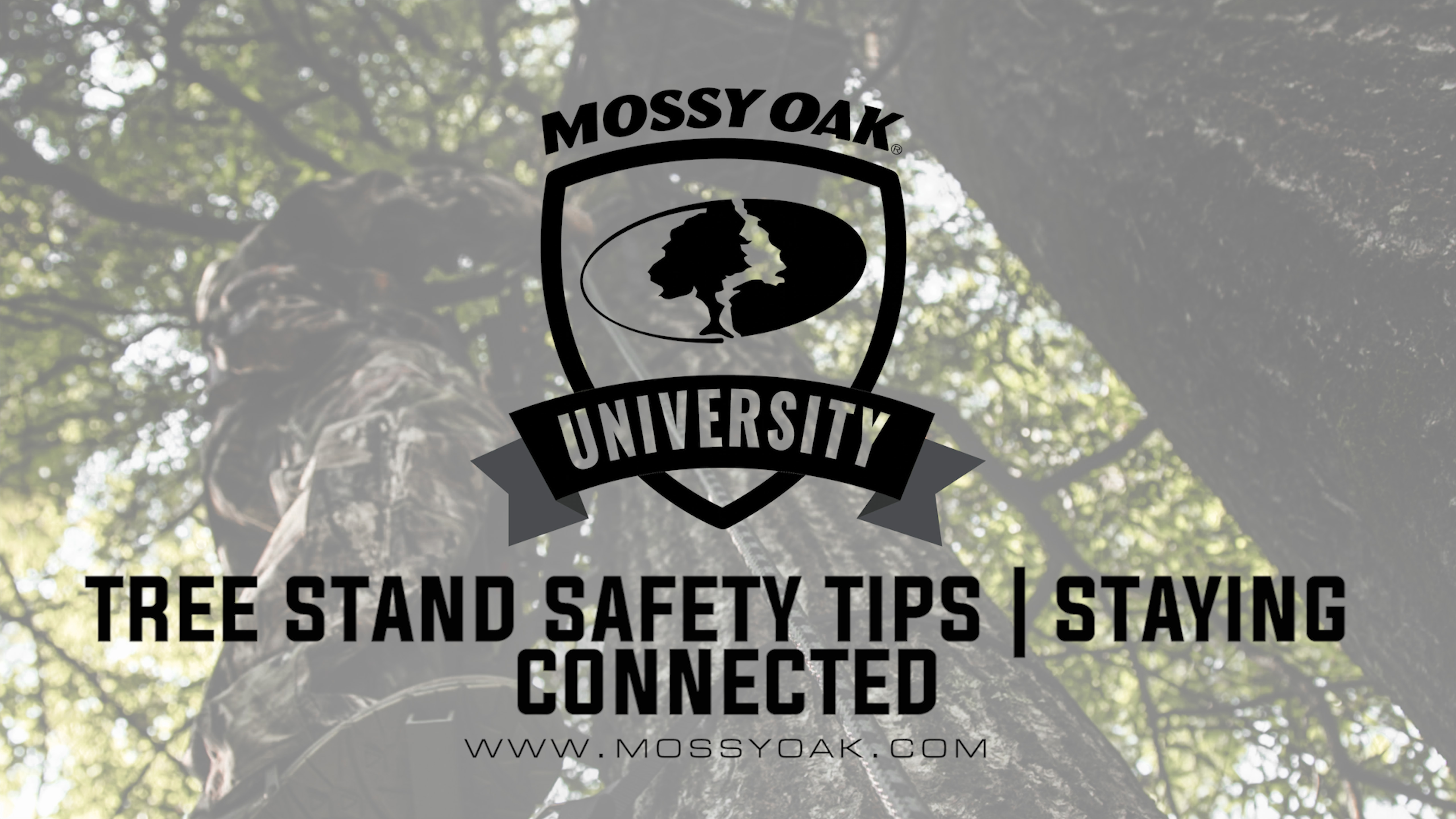Tree Stand Safety Tips • Staying Connected