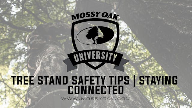 Tree Stand Safety Tips • Staying Conn...