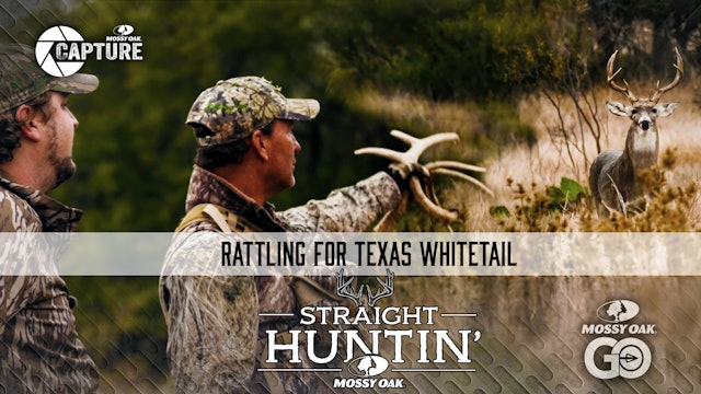 Rattling for Texas Whitetail Bucks | Straight Huntin'