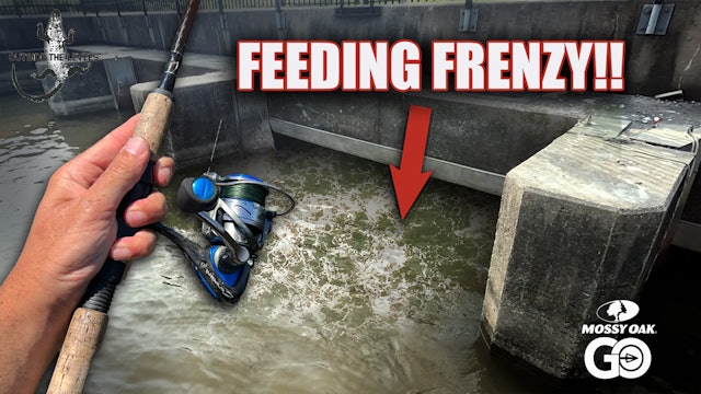 We Found a FEEDING FRENZY at This Spillway (CATCH AND COOK) • Outside the Levees