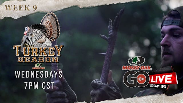 Live: 4.20.2022 Turkey Season LIVE Re...