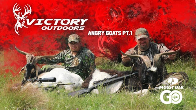 Angry Goats Part 1 • Victory Outdoors