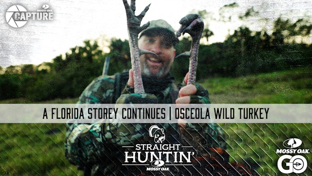 The Florida Storey Continues: Osceola Wild Turkey • Straight Huntin'