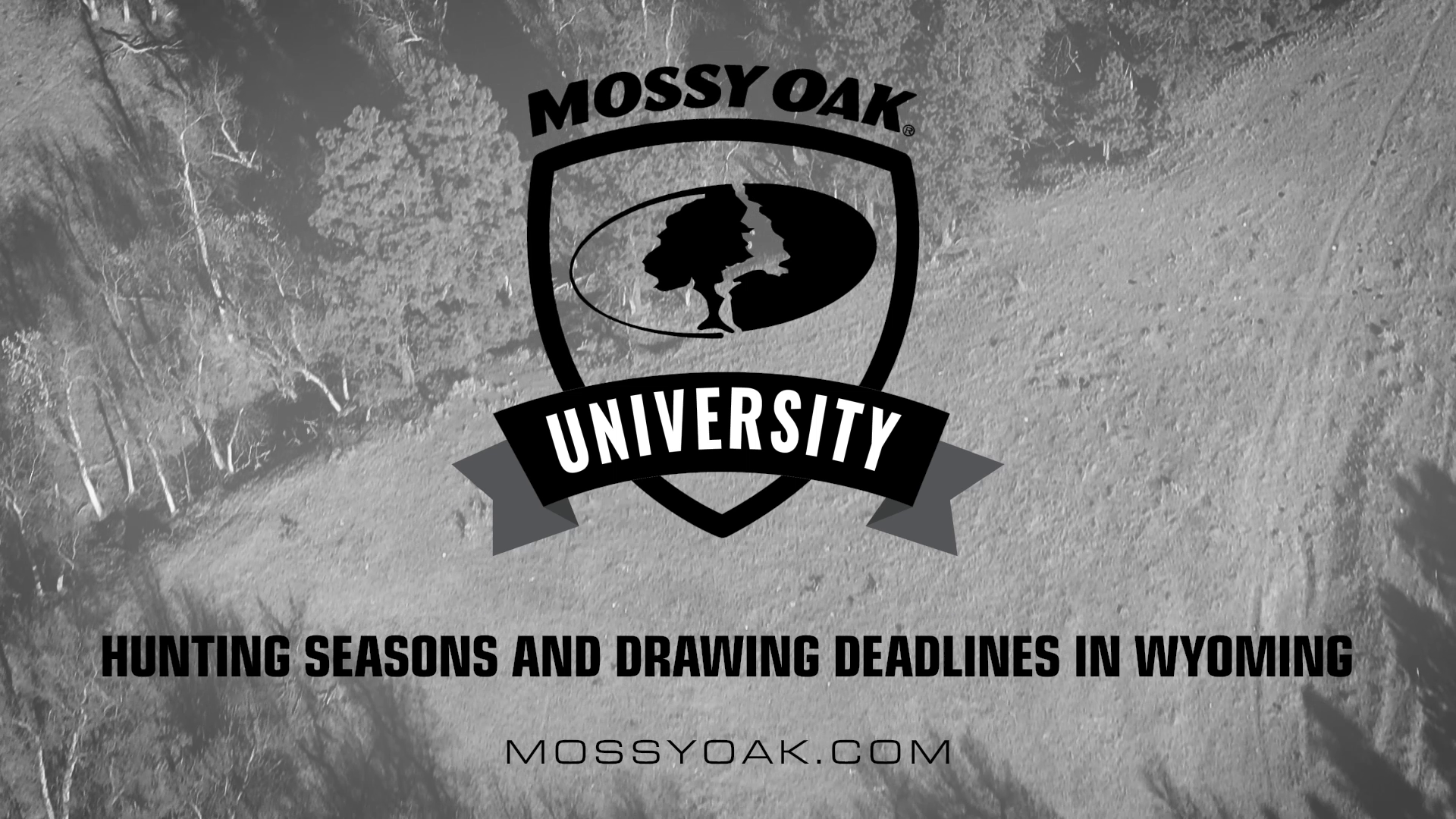 Hunting Seasons and Drawing Deadlines In Wyoming