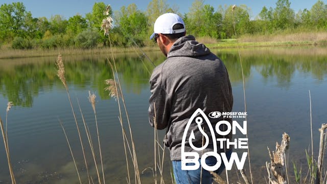 On the Bow with Brandon Lester • Visu...
