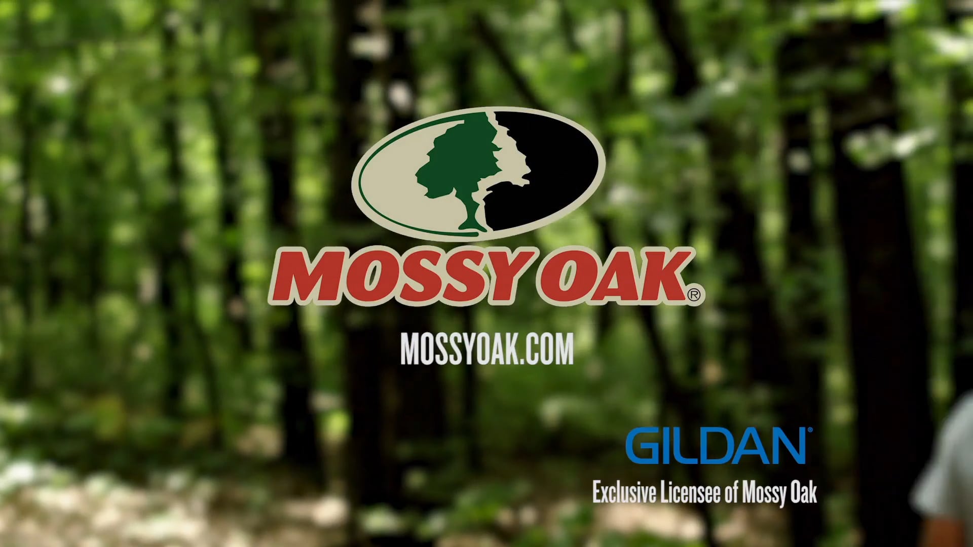 Meet and Greet • Whitetails in Alabama