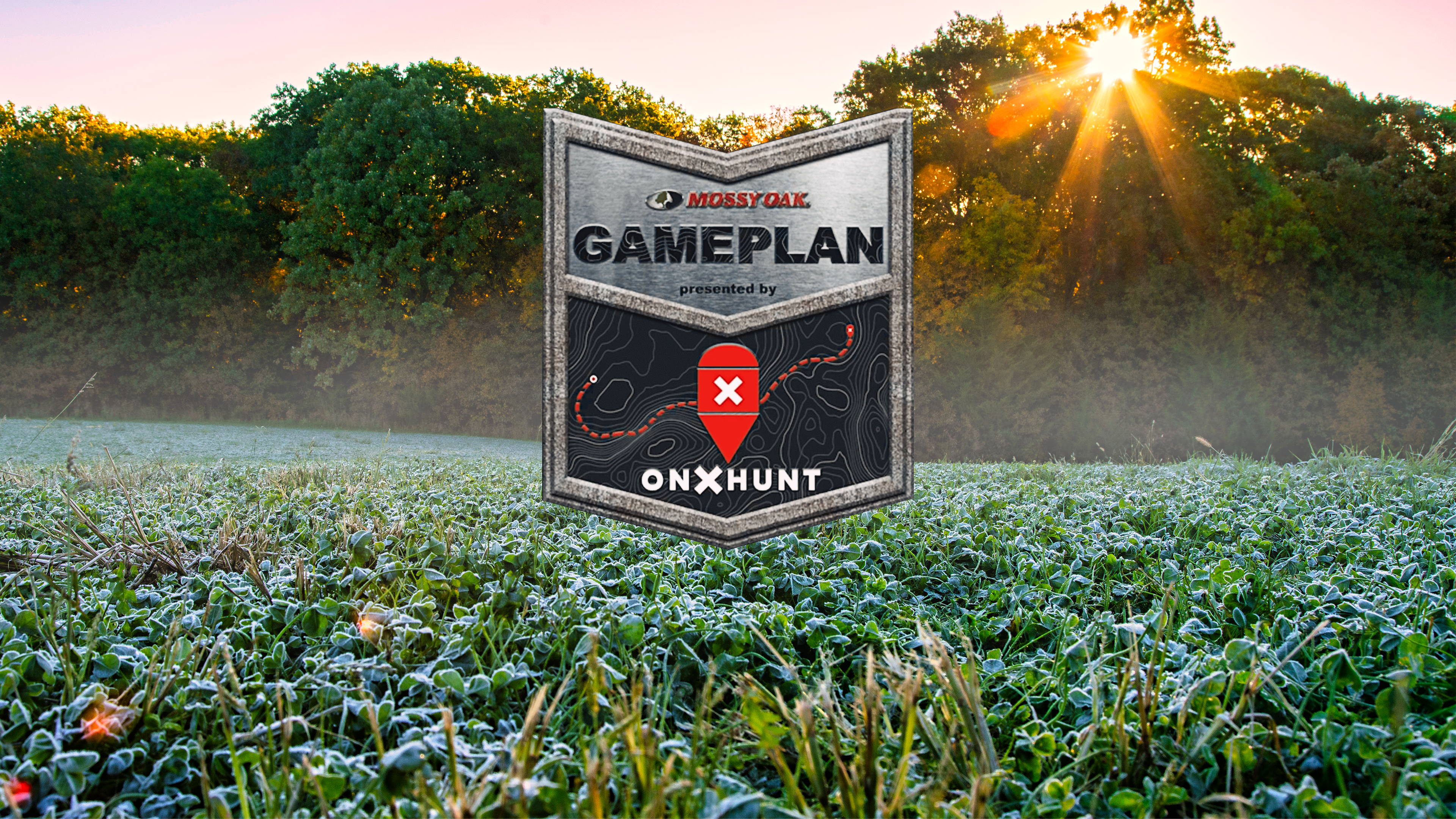 OnX Gameplan