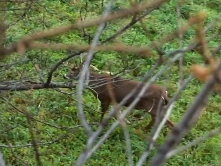 Patience • Patience is a Good Trait to have