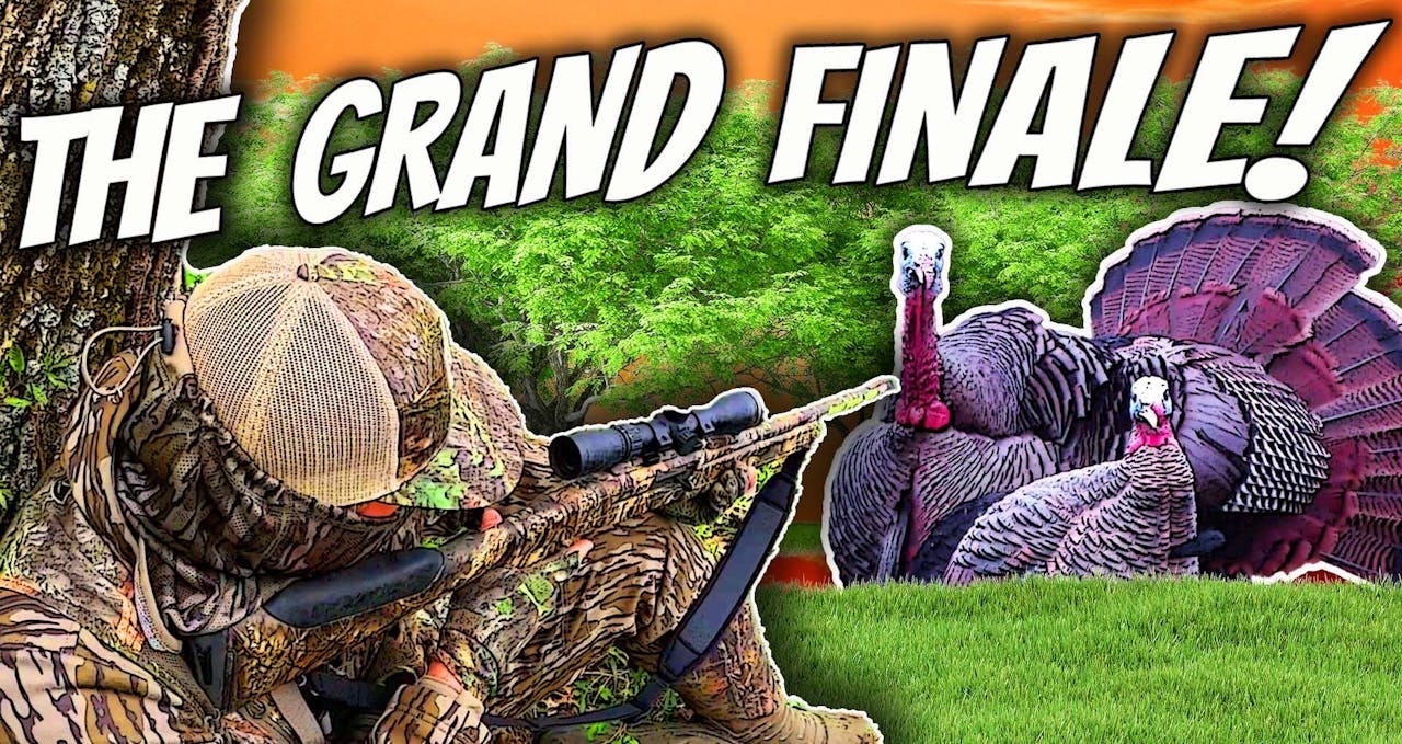 The Perfect Roost Hunt, 2 Longbeards To Round Out The Season | Turkey ...