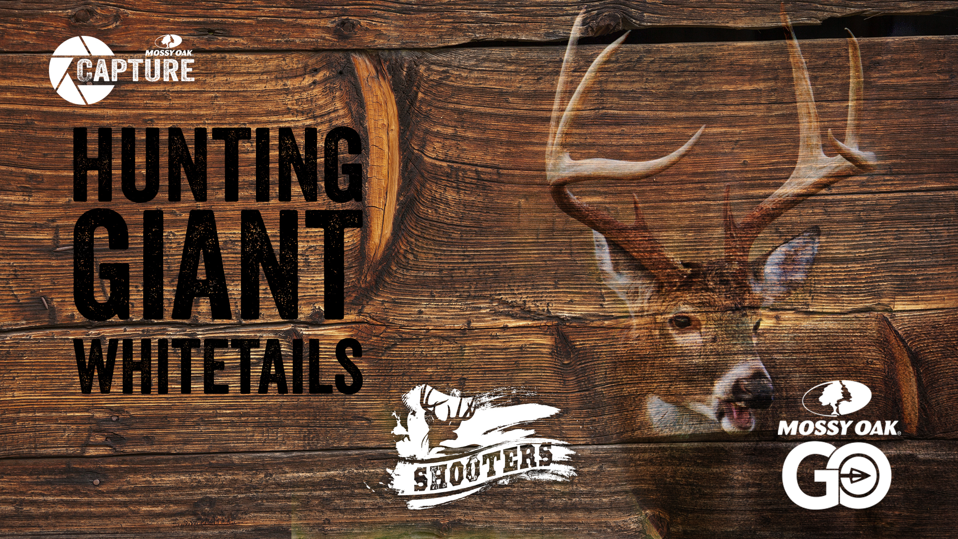 Hunting Giant Whitetails • Shooters
