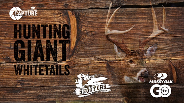 Hunting Giant Whitetails • Shooters