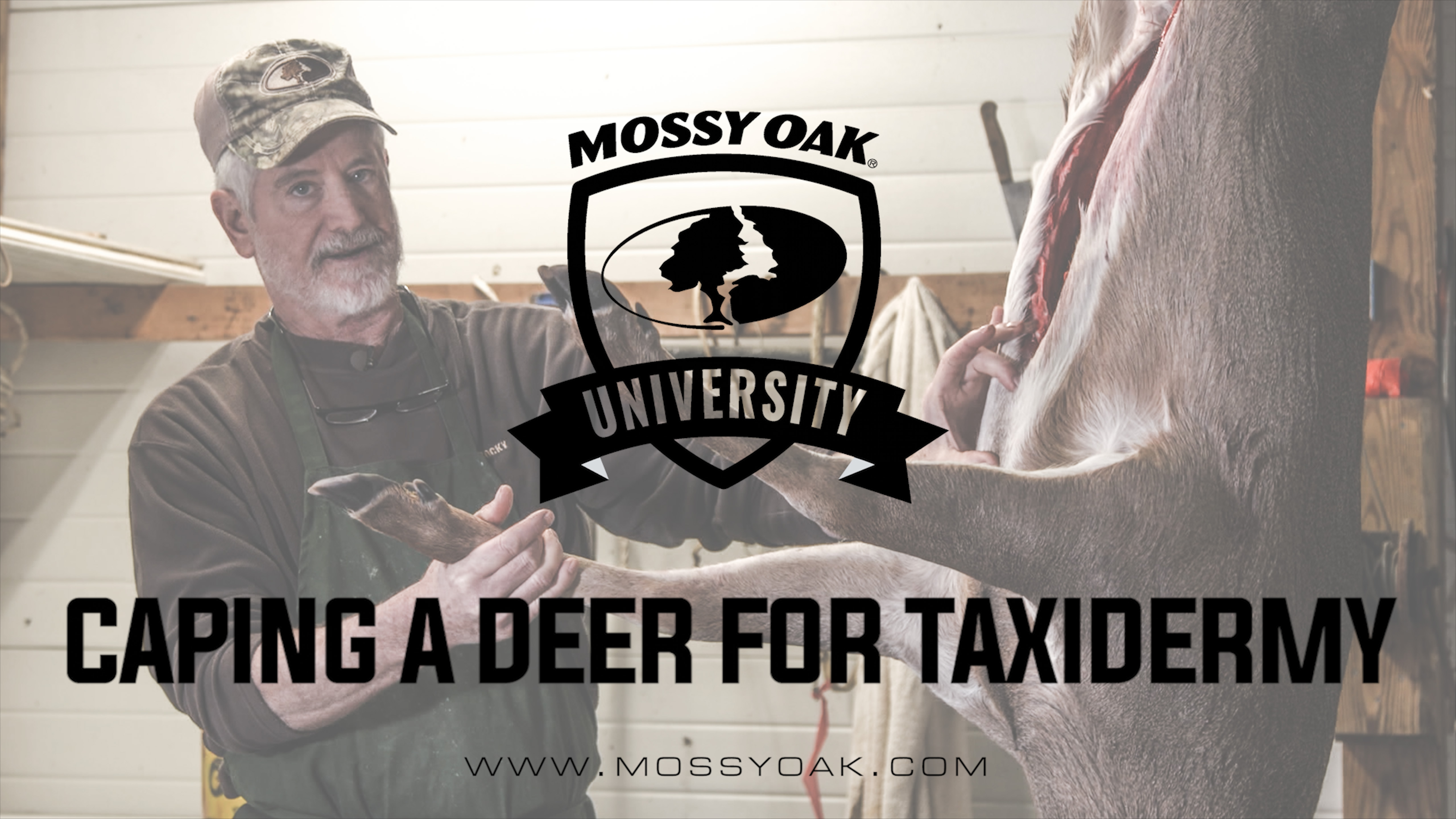 How to Cape a Buck For A Shoulder Mount