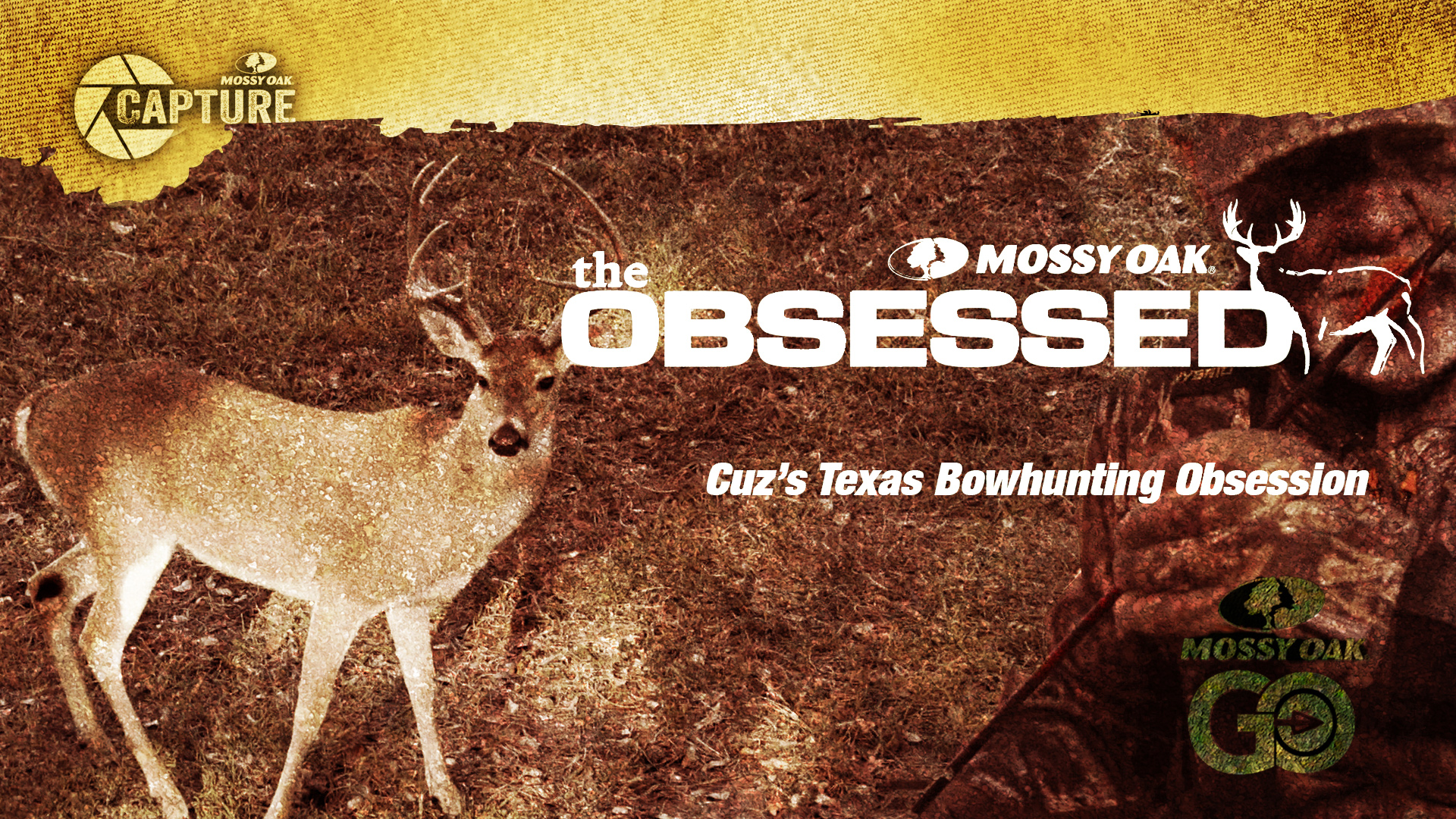 Cuz at Wexford • The Obsessed