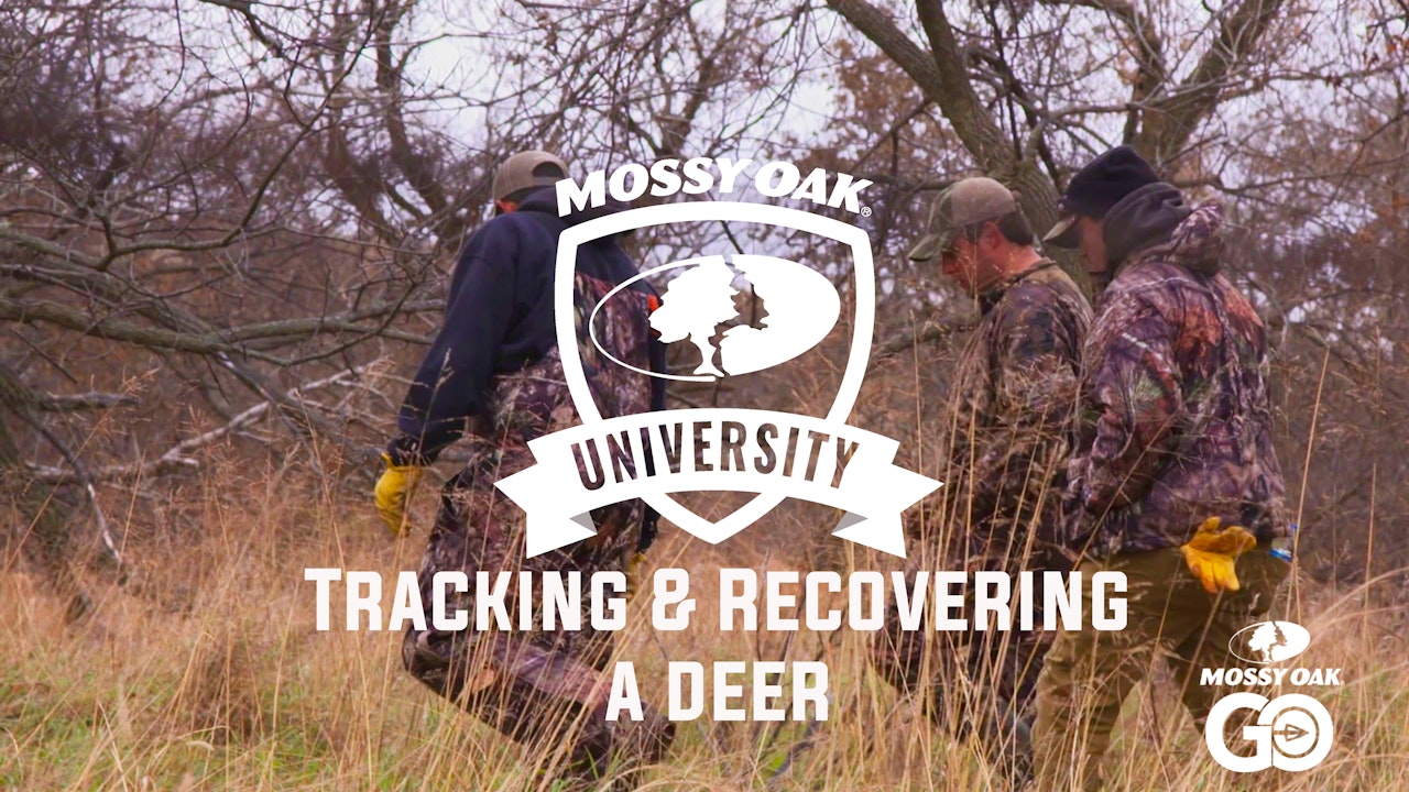 Tracking & Recovering Deer • Mossy Oak University