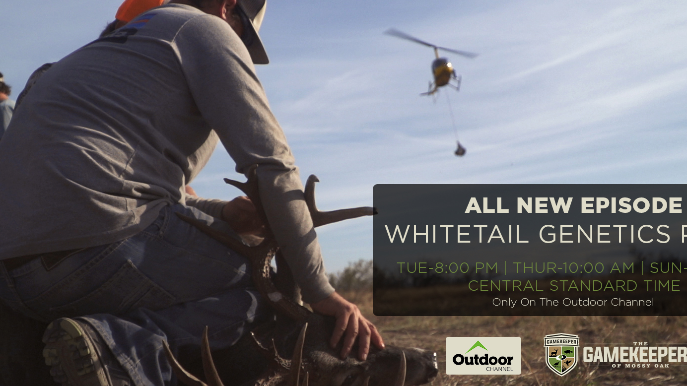 Whitetail Genetics Part II • Gamekeepers