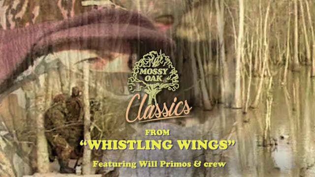 From Whistling Wings w/ Will Primos •...