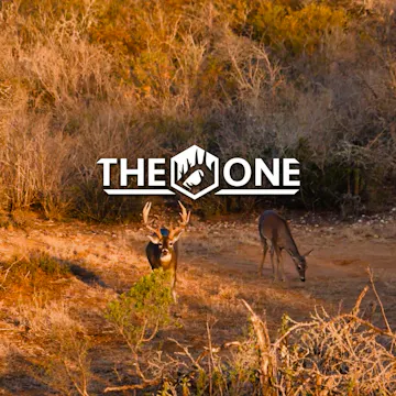 Lone Star Giants pt1 • The One