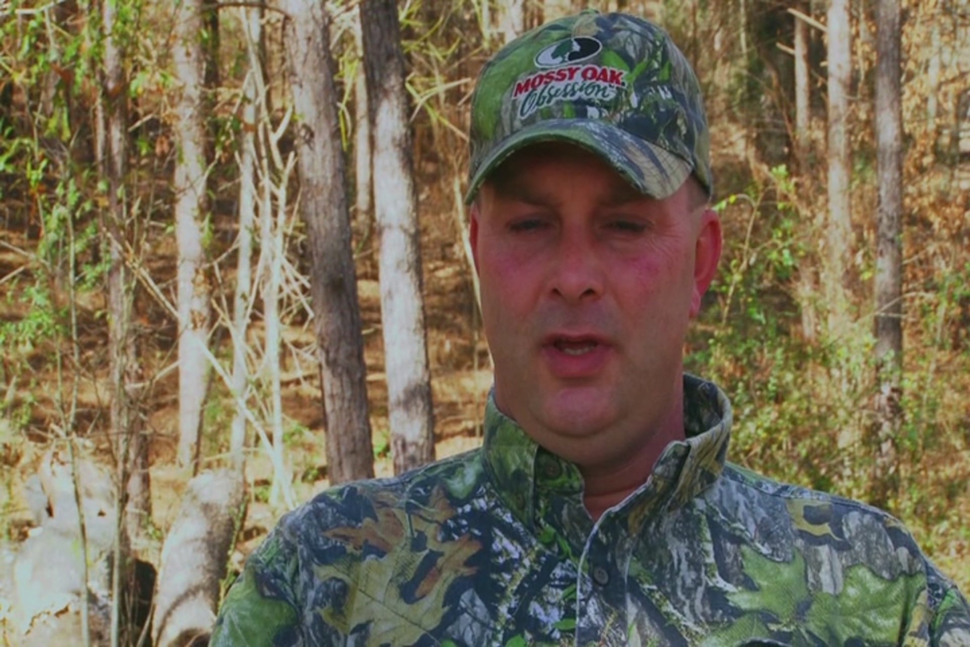 M&M • Turkeys in MS