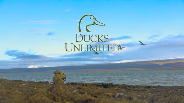 Cold Bay Beauties Part 3 • DU TV