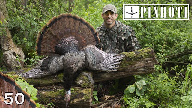 Pinhoti 2021 Ep 50 • Pinhoti Project