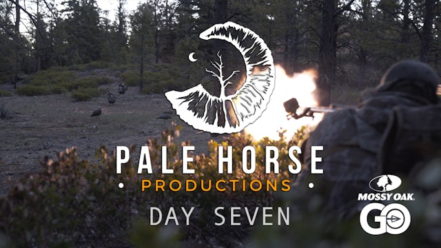 Day Seven • Pale Horse