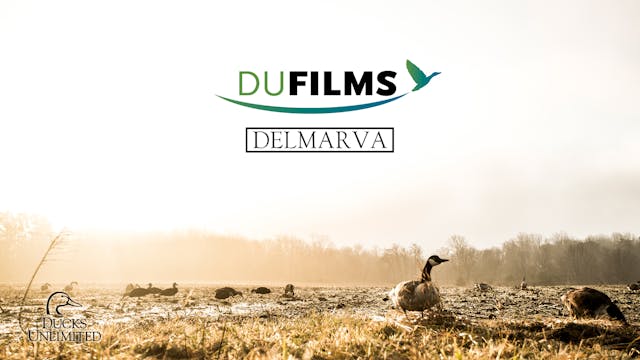 Delmarva • DU Films