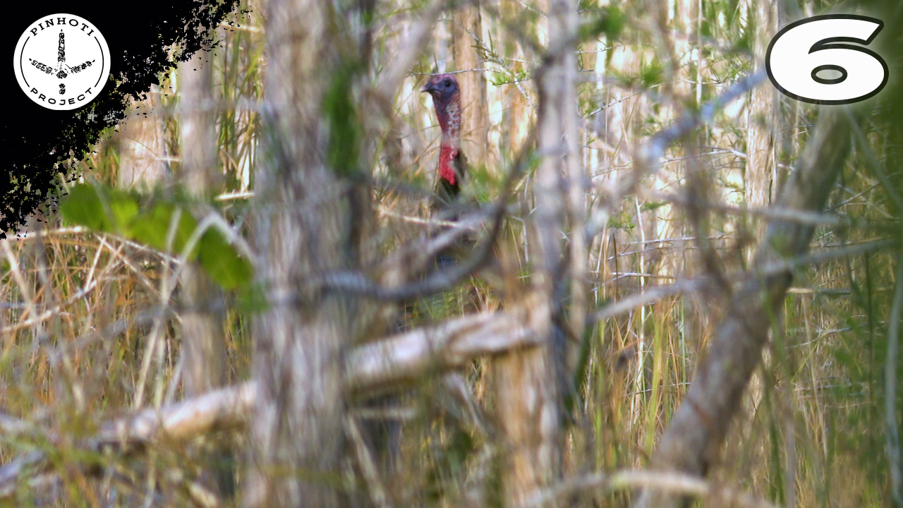 Pinhoti 2025 Ep 6 • Pinhoti Project