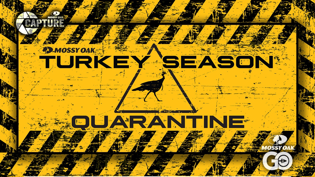 Turkey Season Quarantine