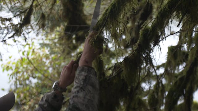 Alaska • The Hunger