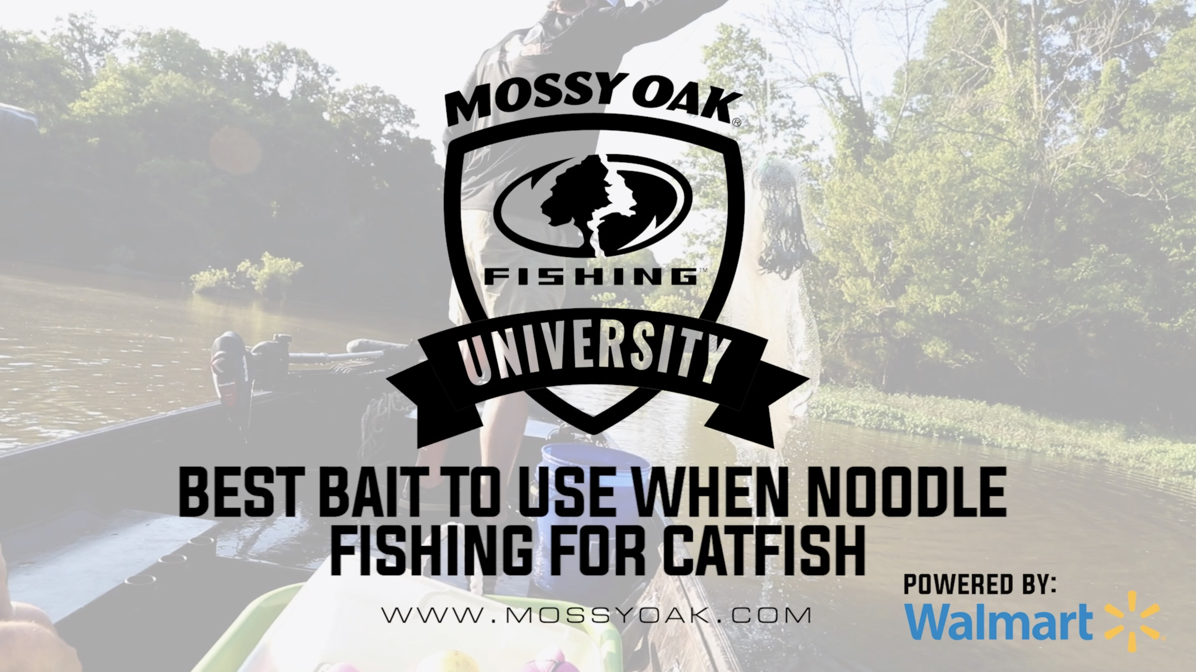 Best Bait to Use when Jug Fishing for Catfish