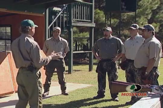 The Gadget Guys • Quail Hunting with Dogs