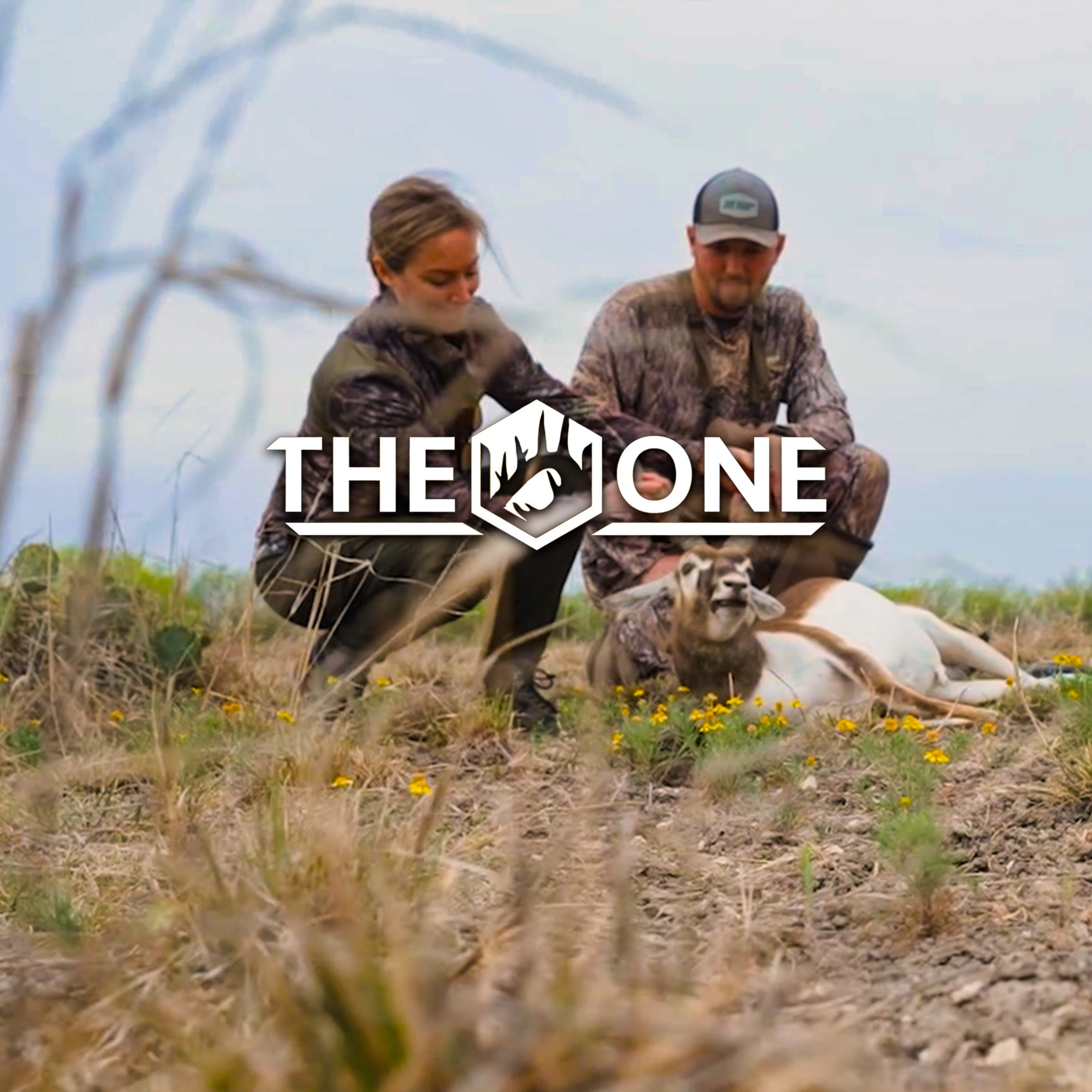 Lone Star Axis • The One