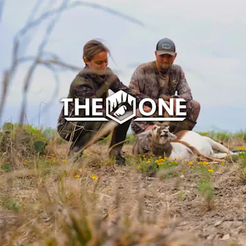 Lone Star Axis • The One