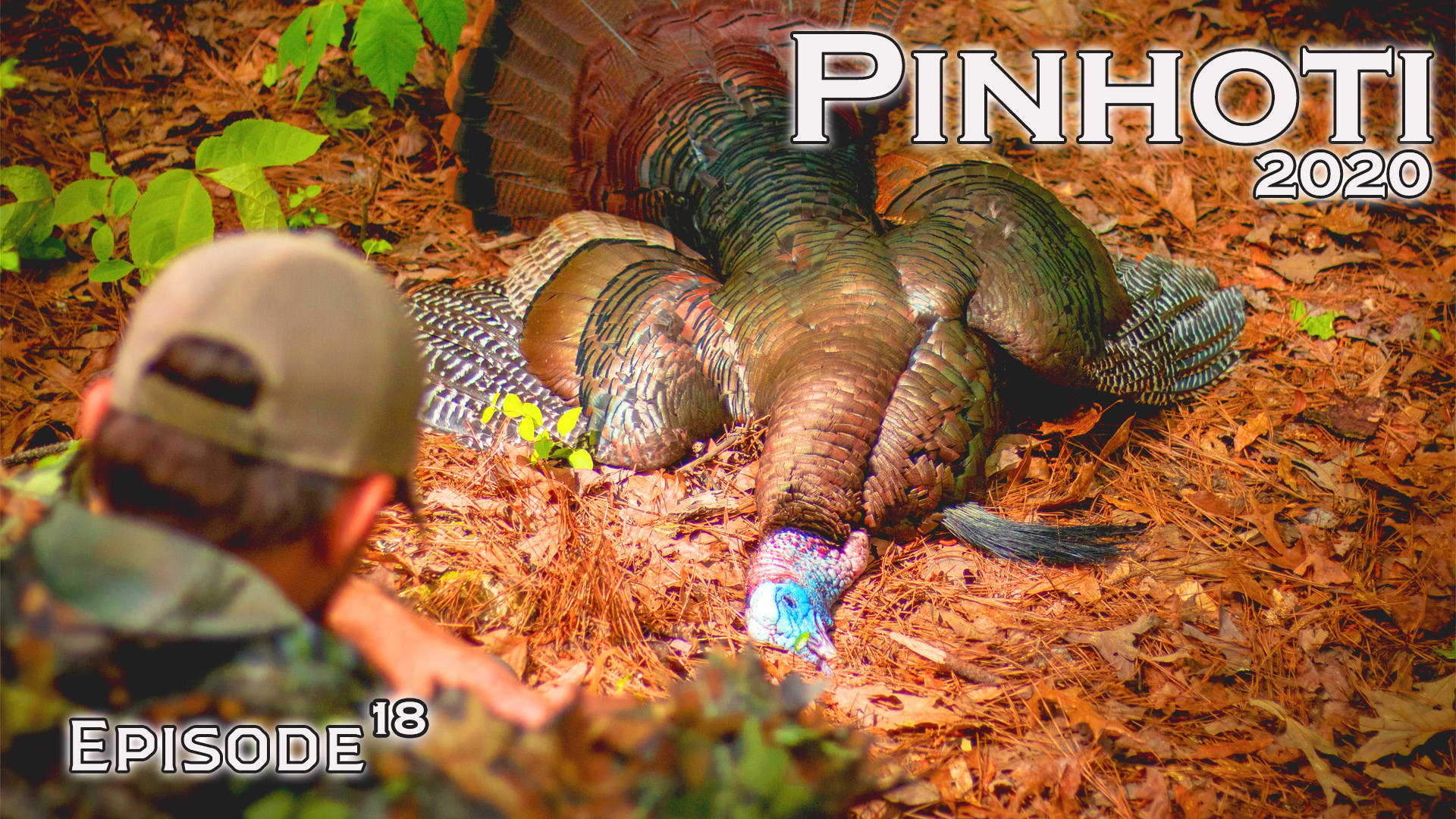 Pinhoti 2020 Ep 18 • Pinhoti Project