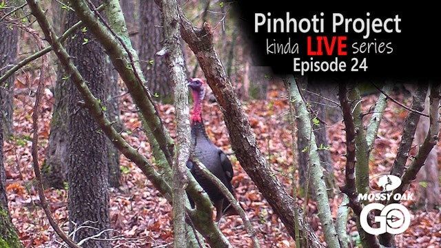 Kinda Live • Episode 24 • Pinhoti Project