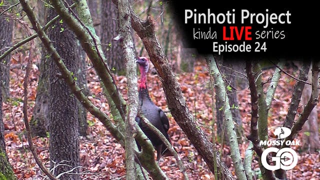Kinda Live • Episode 24 • Pinhoti Pro...