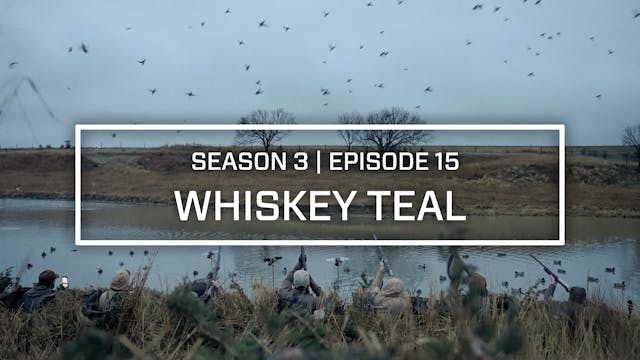 Last Pass Episode 15 • Whiskey Teal 