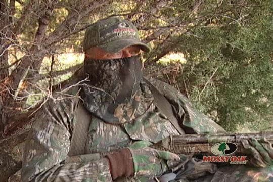 Gray Foxes • Hunting with the Old Folks