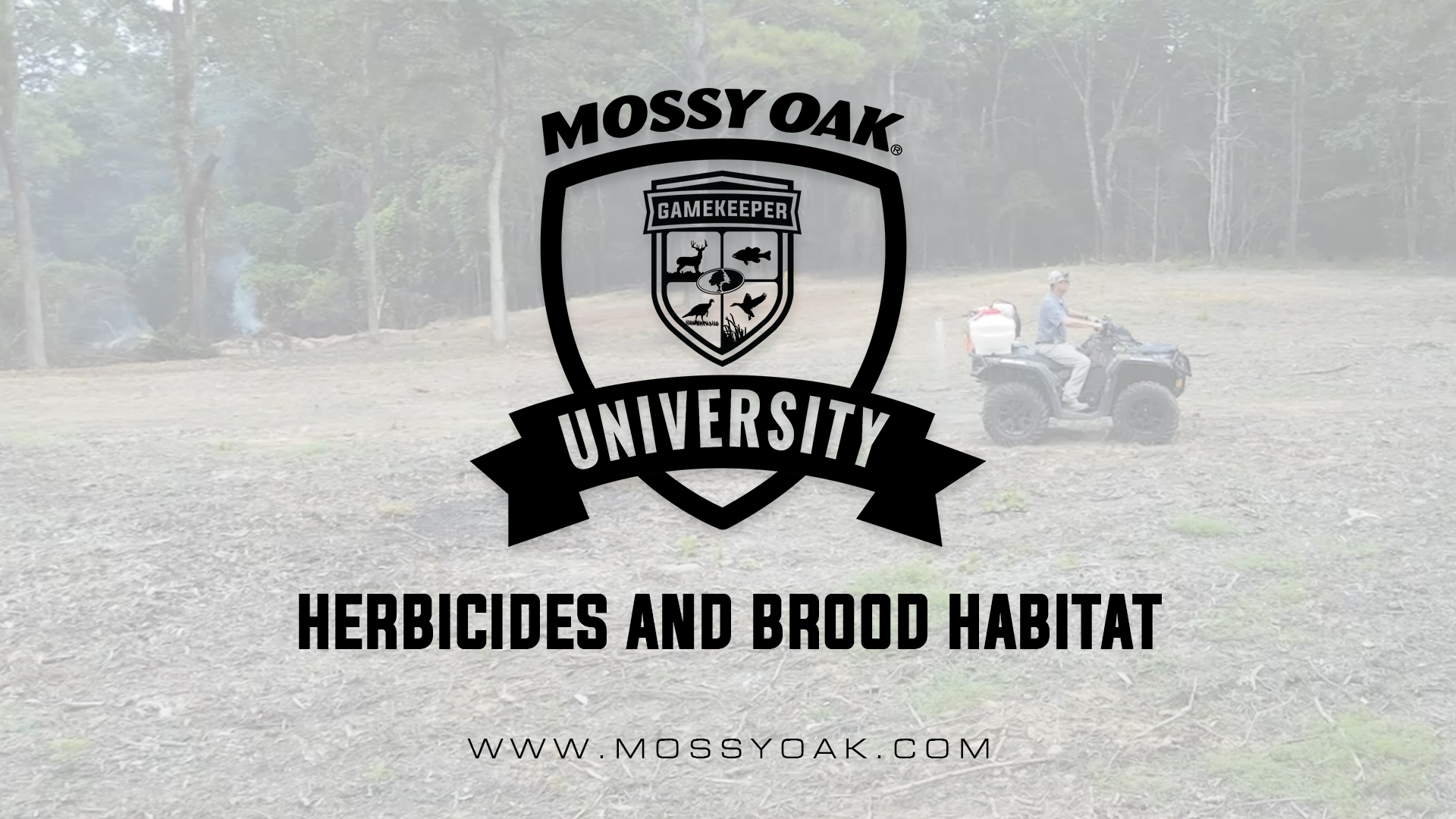 Herbicides and Brood Habitat
