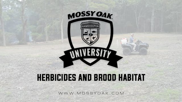 Herbicides and Brood Habitat