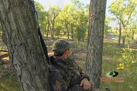 Blind Luck • Waterfowl in Arkansas