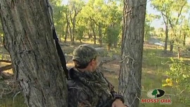 Blind Luck • Waterfowl in Arkansas