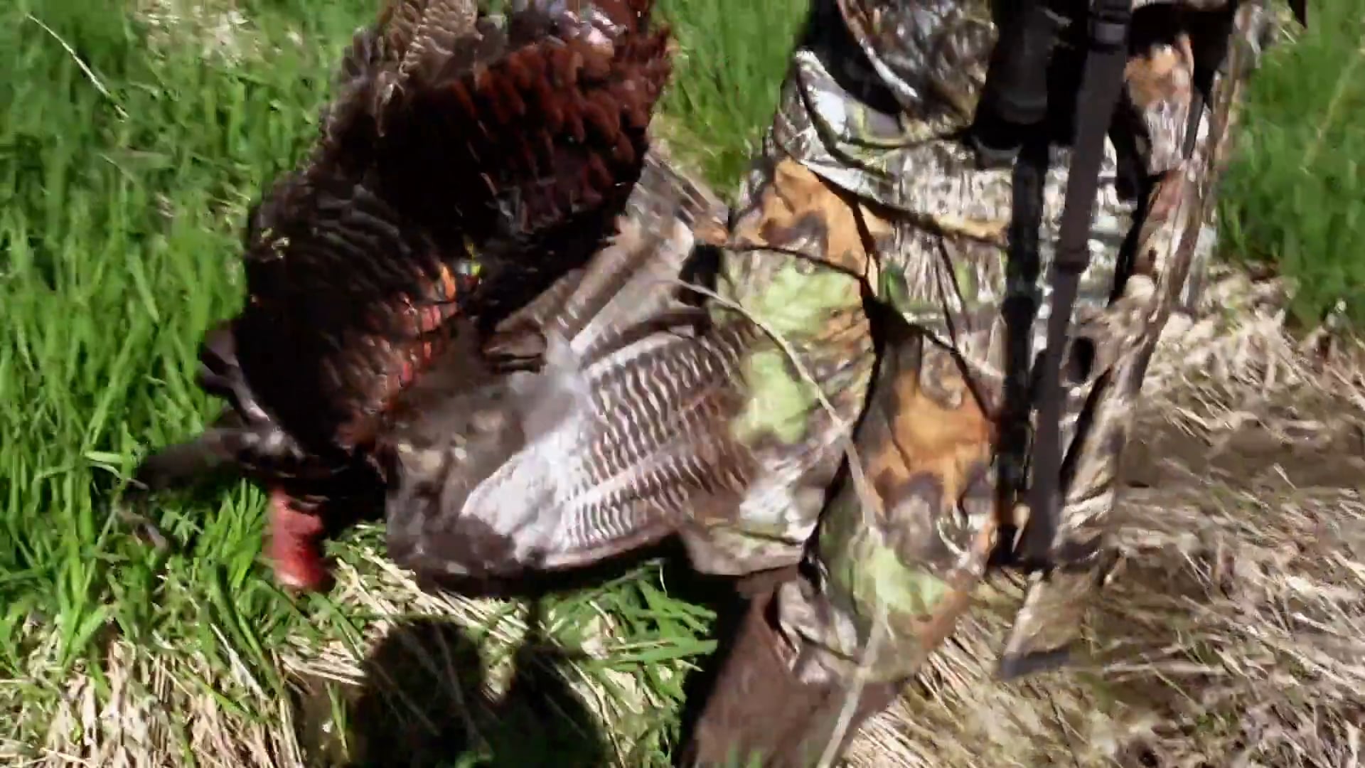 The Deer Whisperer • NBK Episode 9 S7