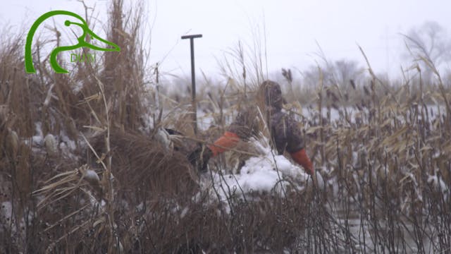 North Dakota Early Goose All about th...