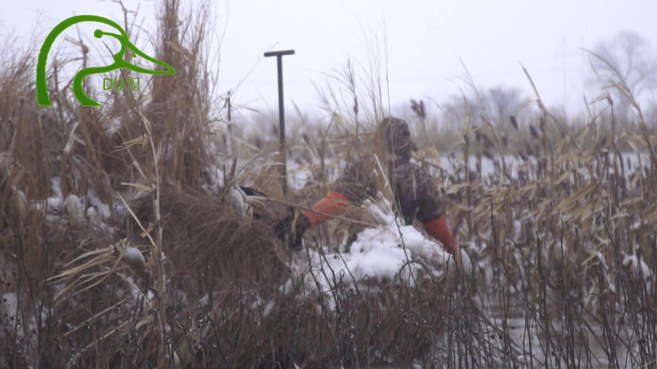 North Dakota Early Goose All about the Canada Goose • DU TV Season 1
