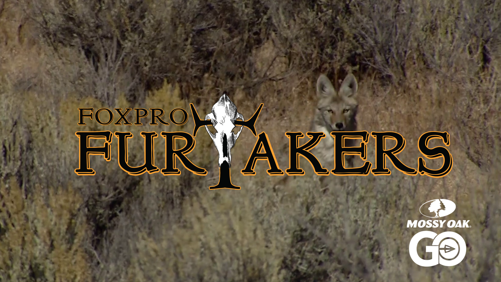 FOXPRO 1206 Nevada • Furtakers