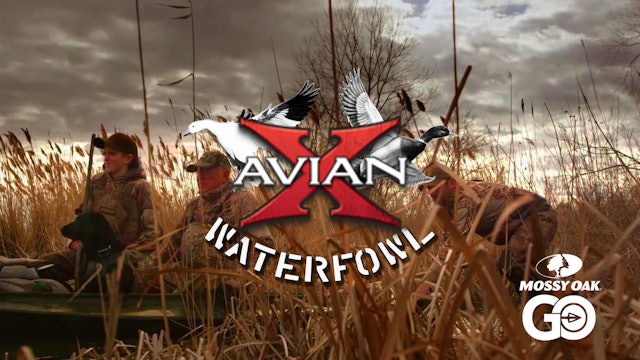 Avian X Waterfowl